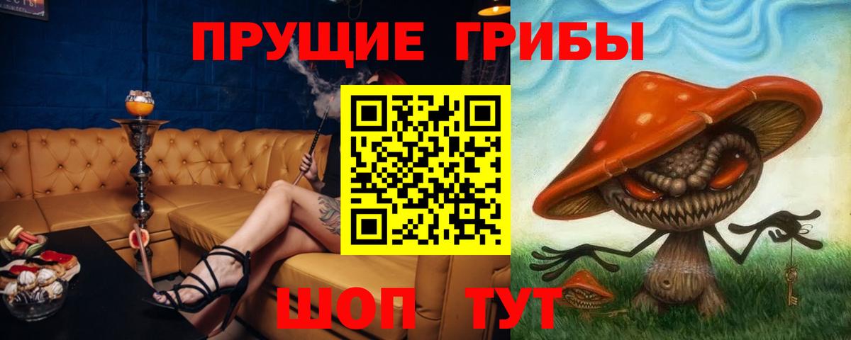 Псилоцибиновые грибы Magic Shrooms  Галлюциногенные грибы Psilocybe  купить закладку  Вход с VPN  Губаха 